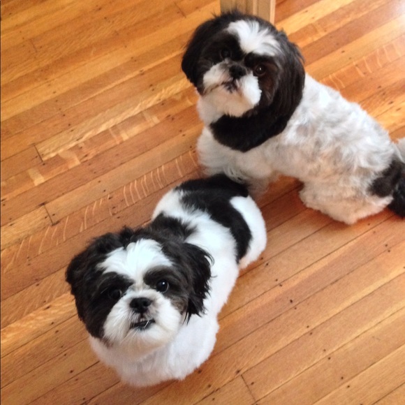 😍Meet Your Seller😍 - Picture 13 of 15